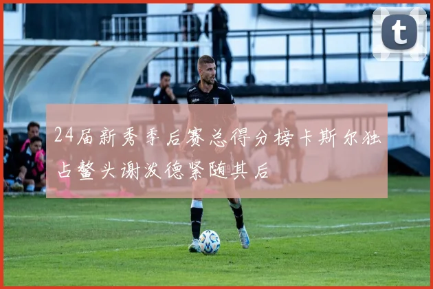24届新秀季后赛总得分榜卡斯尔独占鳌头谢泼德紧随其后